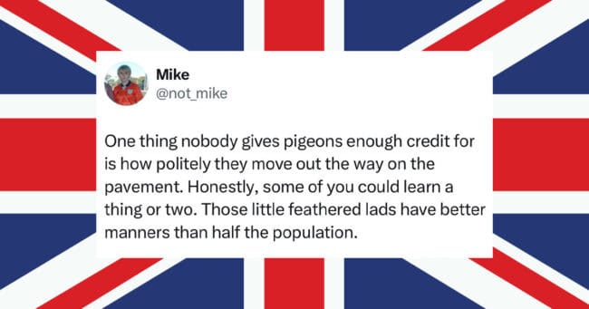 40 Great British Tweets With Humor So Dry You'll Need That Cup Of Tea