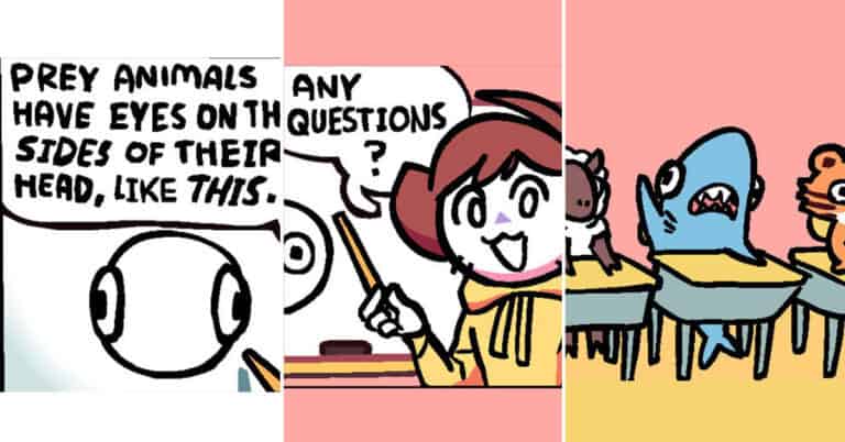 35 Hilariously Relatable Comics About The Absurdity Of Adult Life