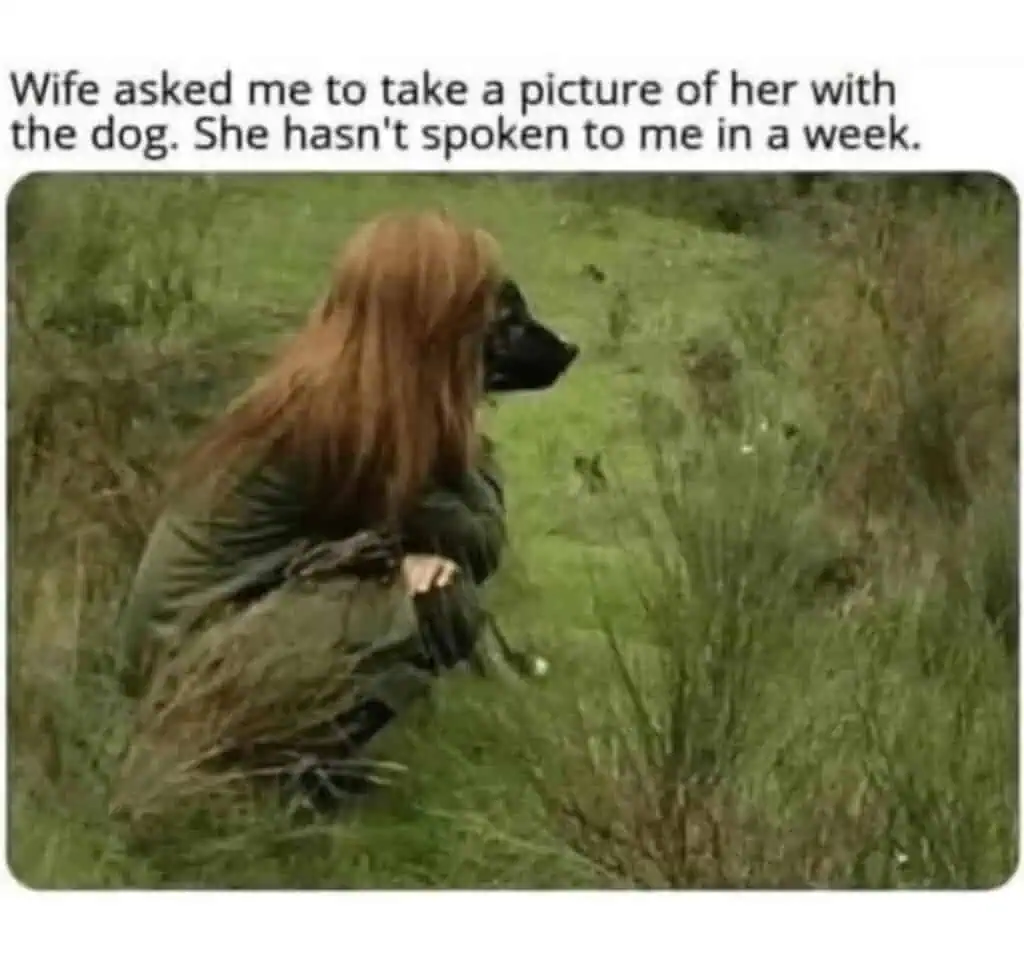 funny-dog-memes-for-anyone-whose-entire-camera-roll-is-just-their-pet-6-1024x954.jpg.webp