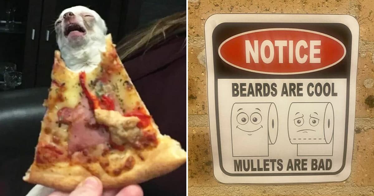 30 Funny Pictures For Anyone Who Needs A Morning Boost (December 9, 2025)