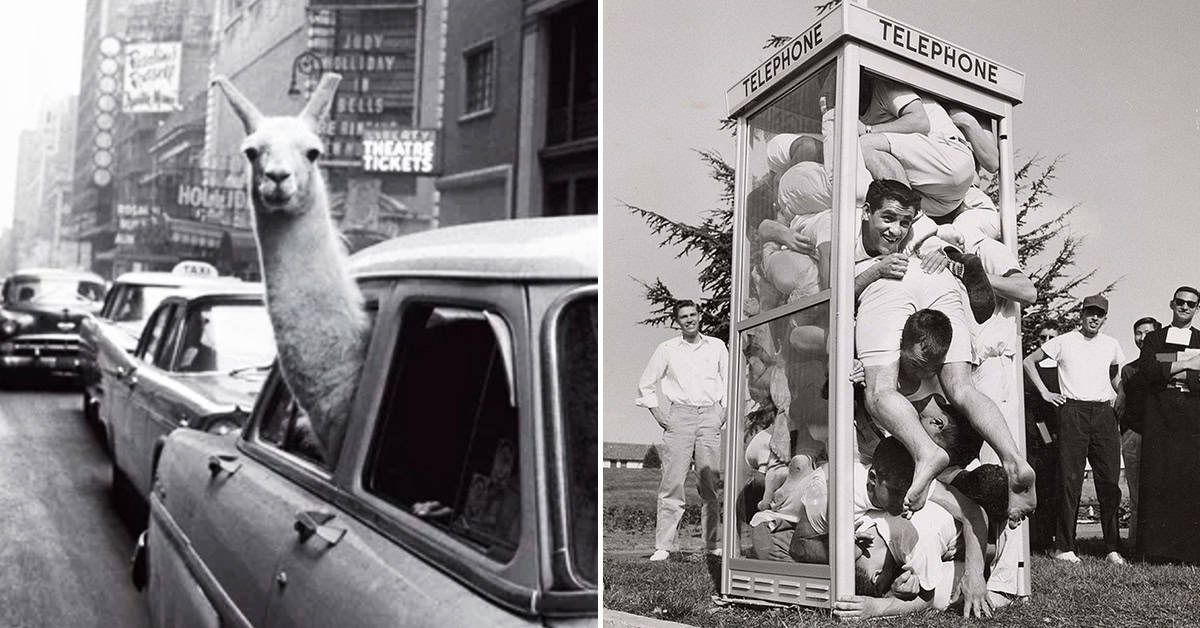 20 Vintage Photos That Show Life In America During The 1950s
