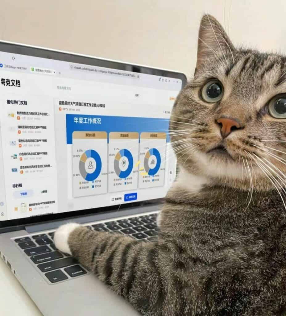 35 Cats With Jobs Who Deserve A Raise A Nap Or Both 35 Cats With Jobs Who Deserve A Raise A Nap Or Both