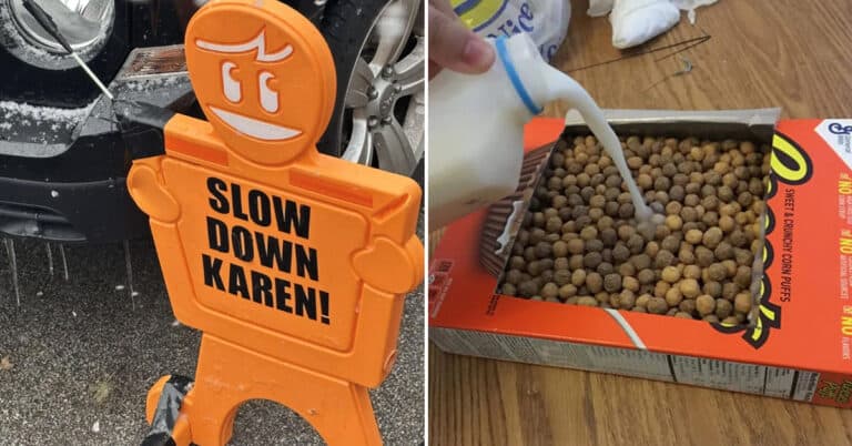 30 Funny Pictures You're Looking At Instead Of Starting Your Thursday ...