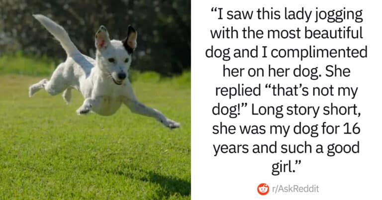 30 People Share Their Best ‘Not My Problem Anymore’ Moments And They’re Incredibly Satisfying