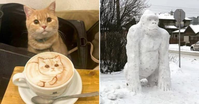 35 Pictures That Are Too Funny Not To Laugh At Today (January 12, 2026)