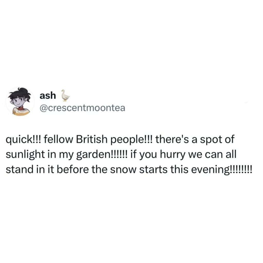 35 Funniest British Tweets From A Grey Part Of The World Full Of ...