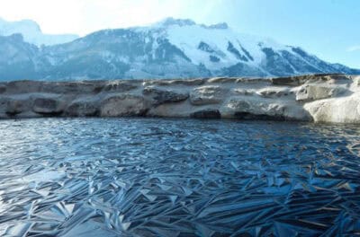 45 Mildly Interesting Posts That Might Just Show You Something New ...