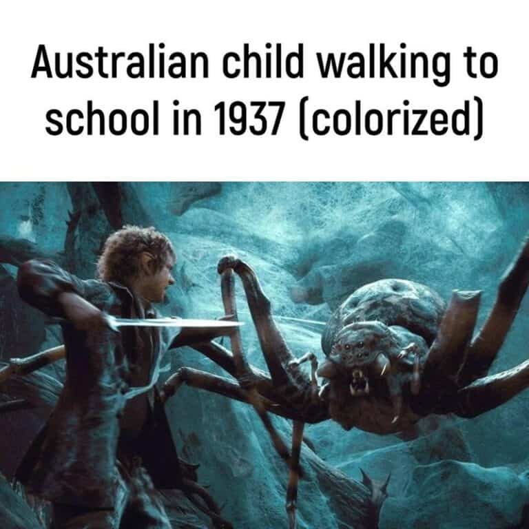 55 Australian Memes Only Real Aussies Will Feel Down Under