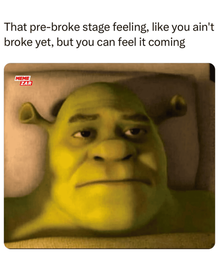 36 Broke Memes For Folks Who Know Money Doesn't Solve All Your Problems ...