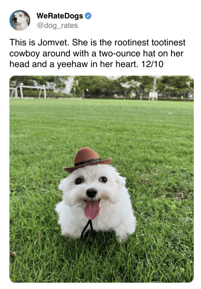 We Rate Dogs 35 Posts From The 'We Rate Dogs' Account For Folks Who Know Every Dog ...