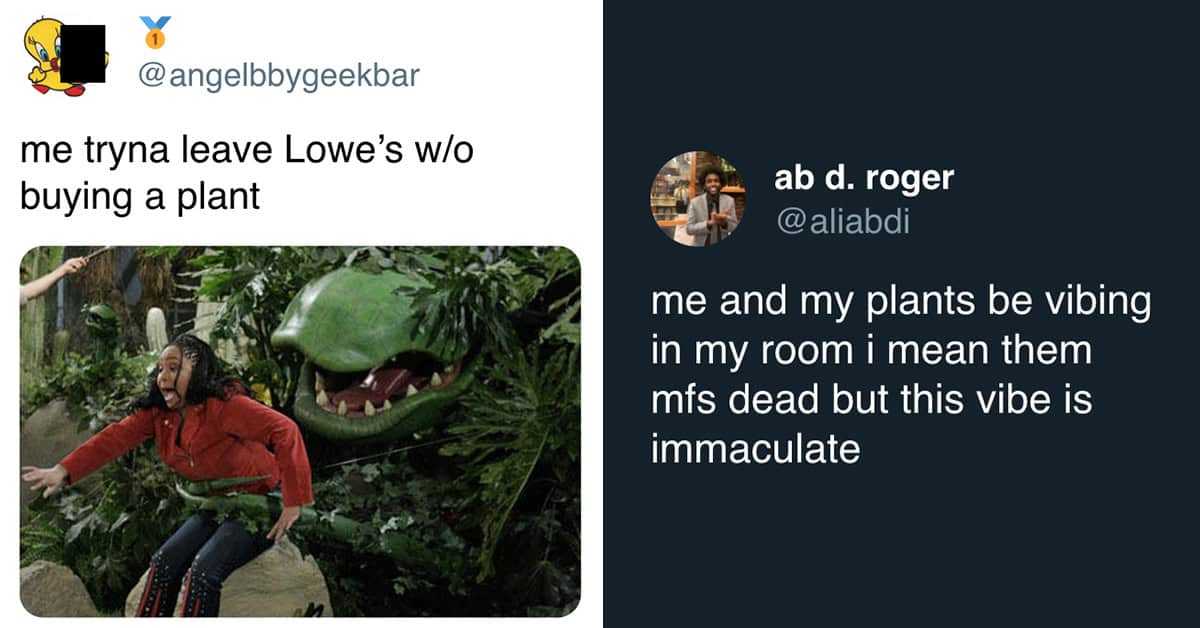 28 Tweets For Plant Moms And Dads Keeping Their Green Thumb On The Pulse Of Spring