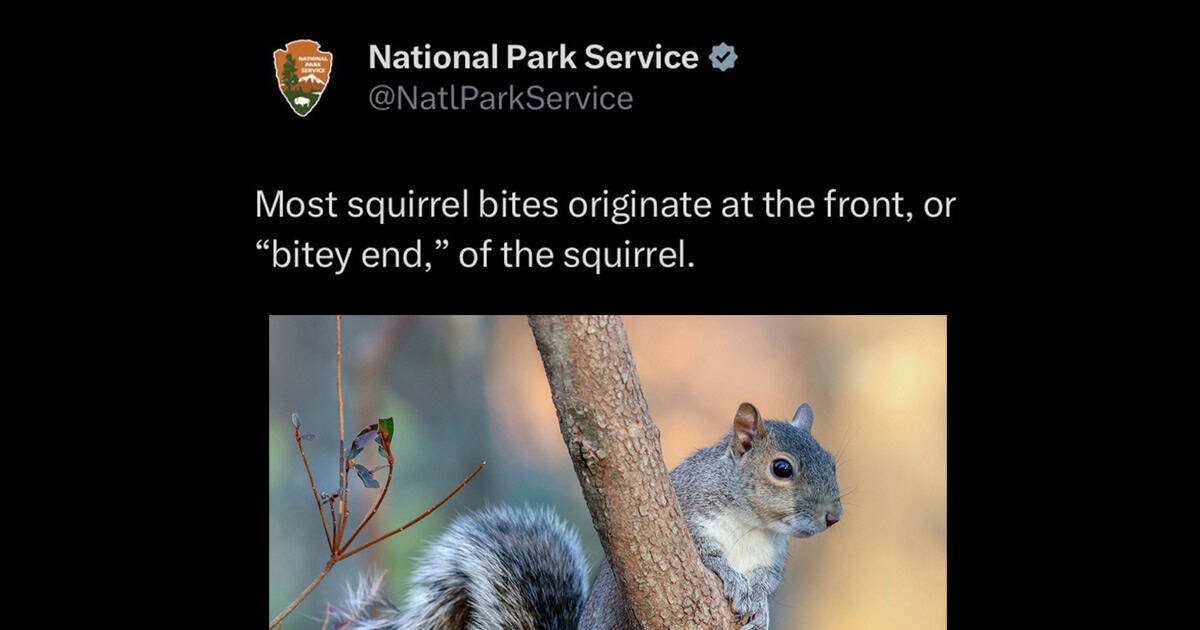 39 Funniest National Park Service Tweets That Honestly Might Just Be A Bear Using Twitter