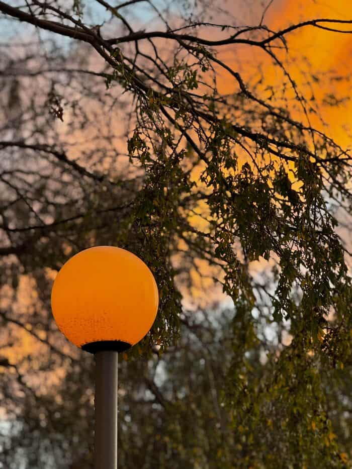 Lamp post illuminated against a sunset sky with tree branches and leaves in the foreground.