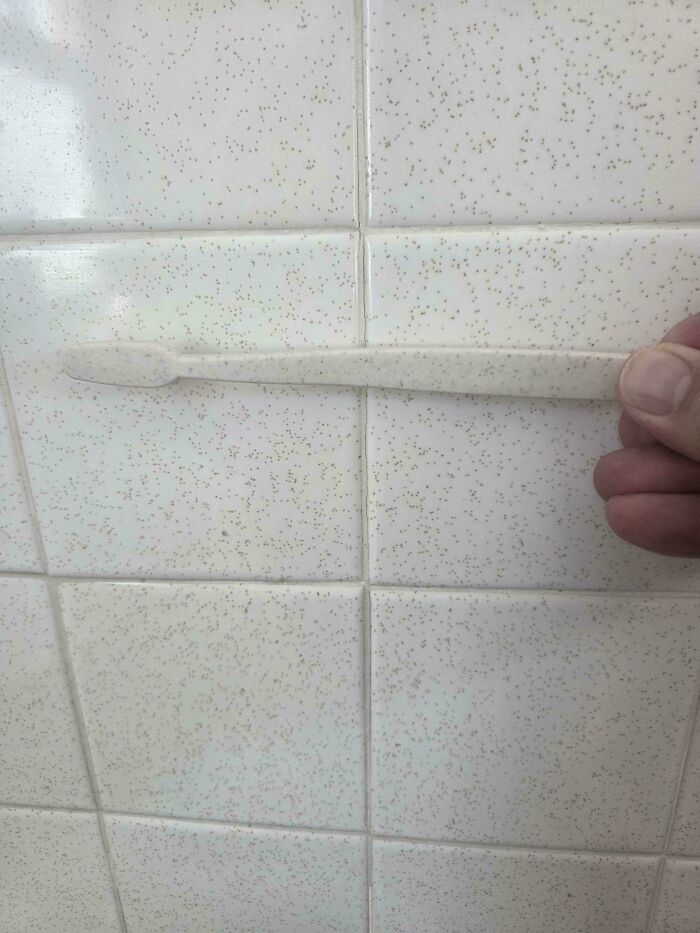 Close-up of a hand scrubbing tile grout with a toothbrush in a bathroom.