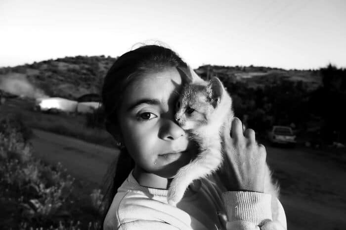 Child girl with dark hair holding a kitten outdoors at sunset.