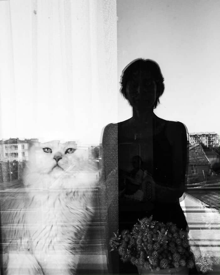 Reflective image of a woman and a cat in a window, showcasing a humorous and artistic scene at Pleat.