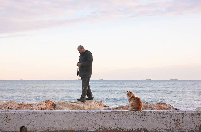 Man walking with his dog along the rocky shoreline at sunset.