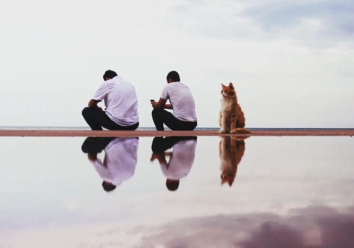 Two men sitting on a ledge with a dog, reflected in calm water, peaceful outdoor scene.