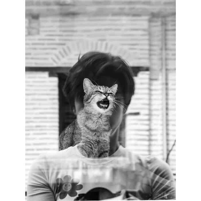 Funny cat meme with a person and a cat, black and white photo.