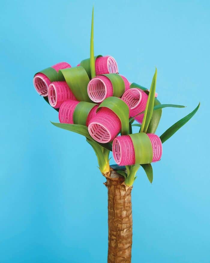 Hair rollers on a plant stem resembling a surreal floral arrangement.
