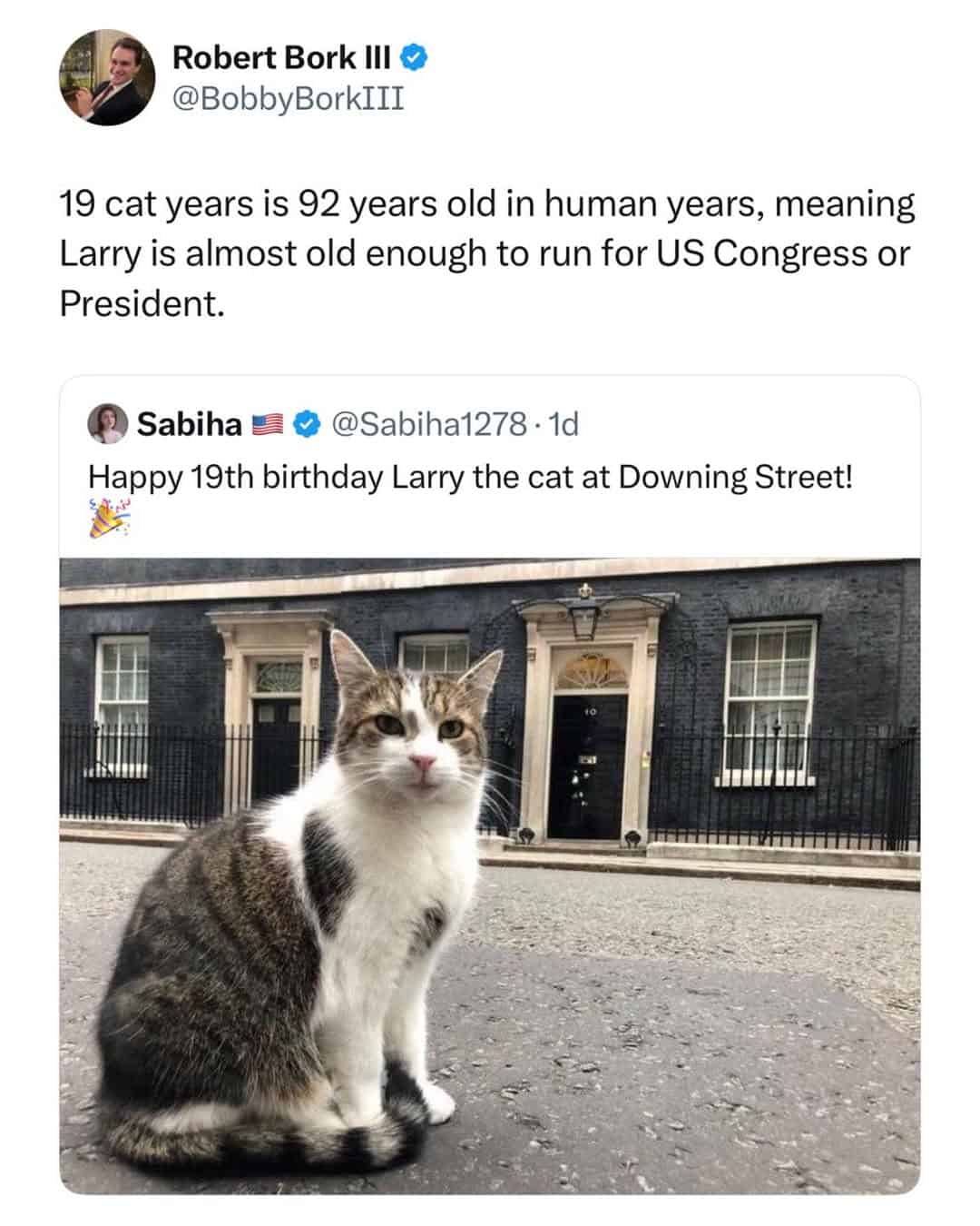 19 cat years = 92 human years, celebrating Larry's 19th birthday outside a building.