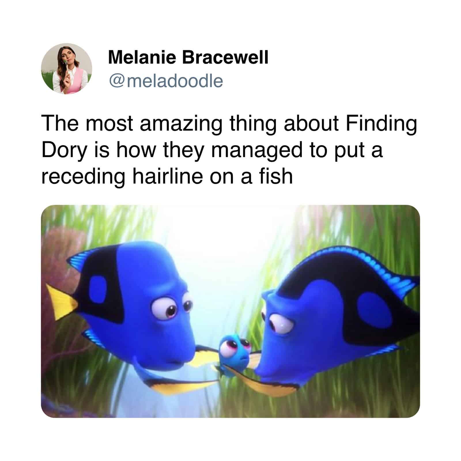 Funny Finding Dory fish with receding hairline cartoon image.