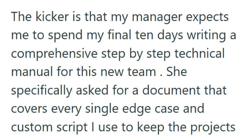 Employee creating detailed 100-page technical manual for team.