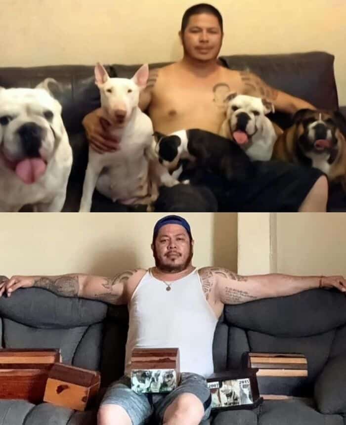 Man with tattoos sitting on a couch with five bulldogs, relaxed and casual.