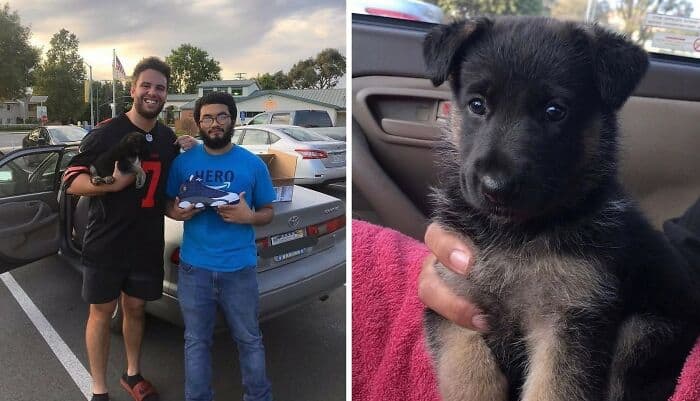 Two smiling men with a puppy in a car, outdoor parking lot scene.