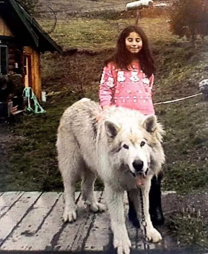 Girl with long dark hair standing behind a fluffy white dog on a wooden path.