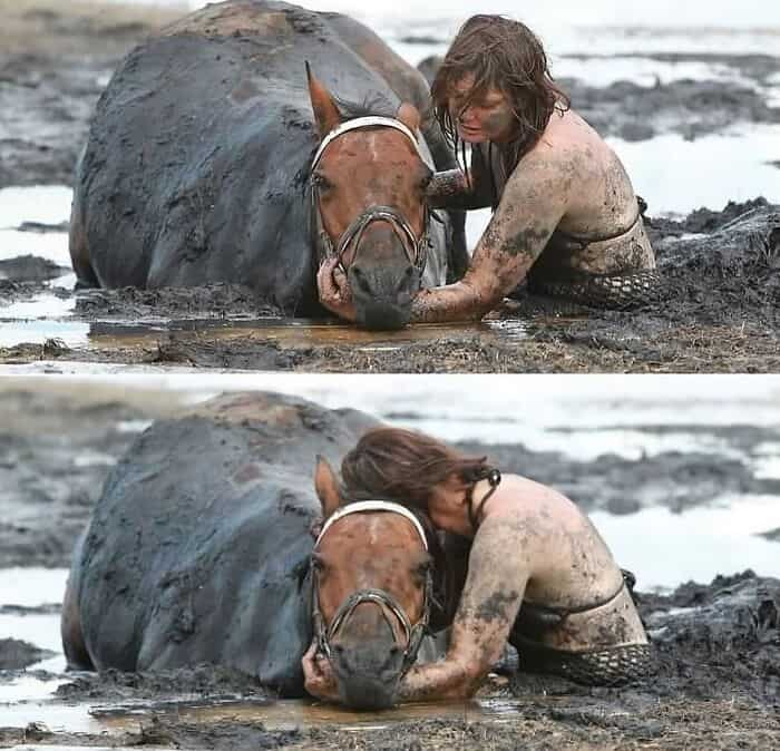 Horse and woman covered in mud in a swampy area, showing a close bond and teamwork.