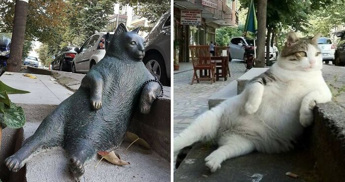 Playful cat lounging on sidewalk with trees and parked cars in the background.