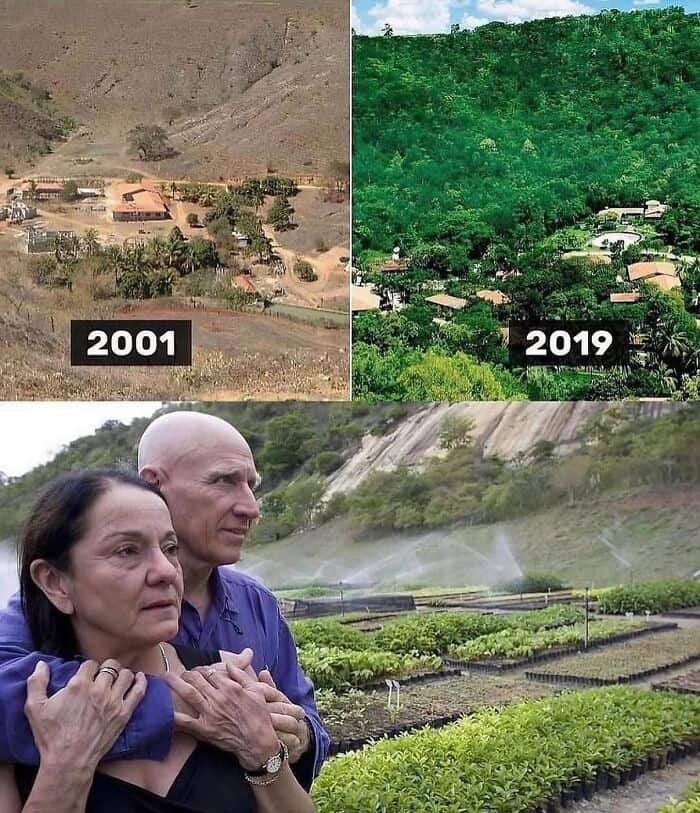 Reforestation and environmental recovery over 18 years in a rural area.