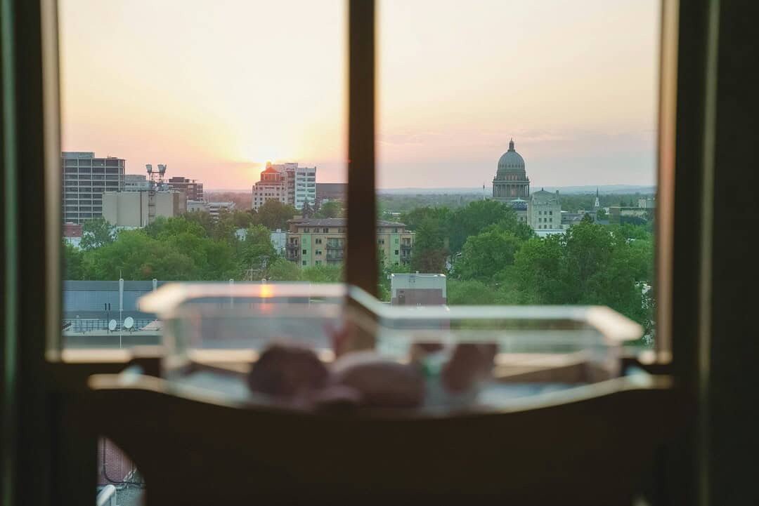Sunset over city skyline with buildings and trees, viewed from a window. The scene captures a peacef.