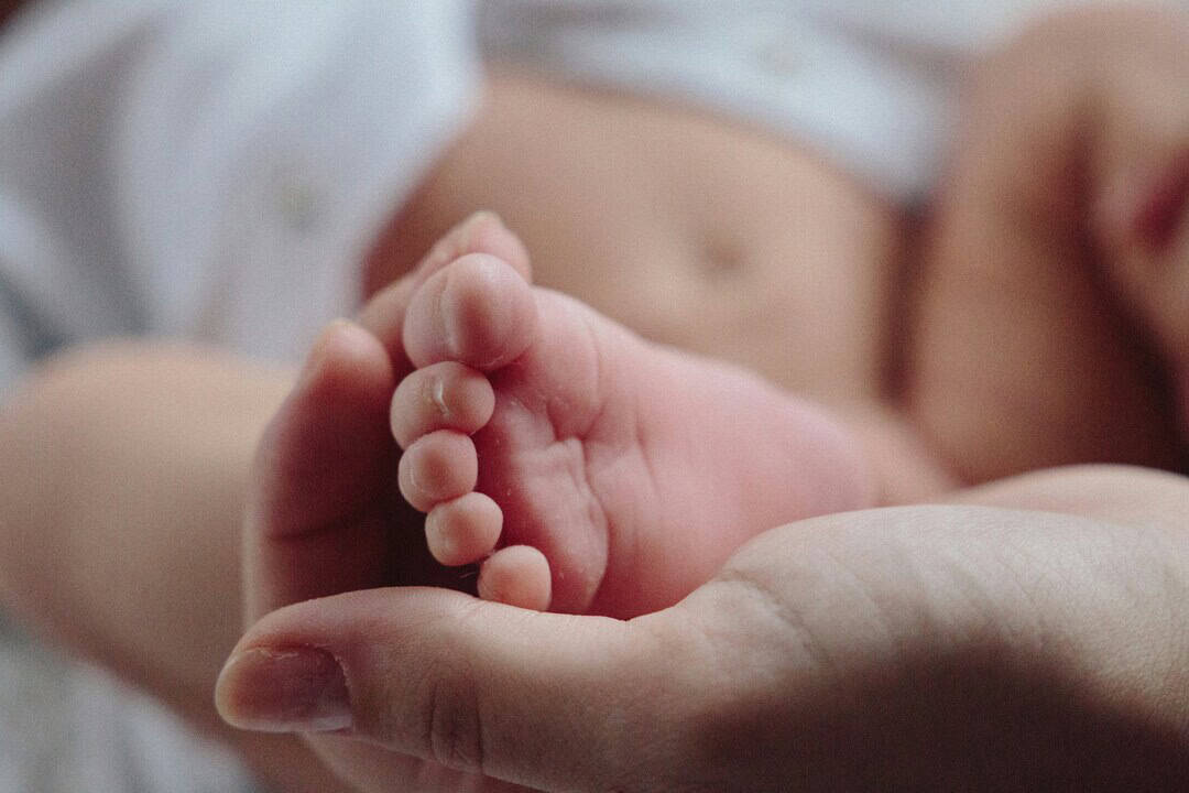 Baby toes in adult hand, close-up of newborn's tiny toes and gentle touch.