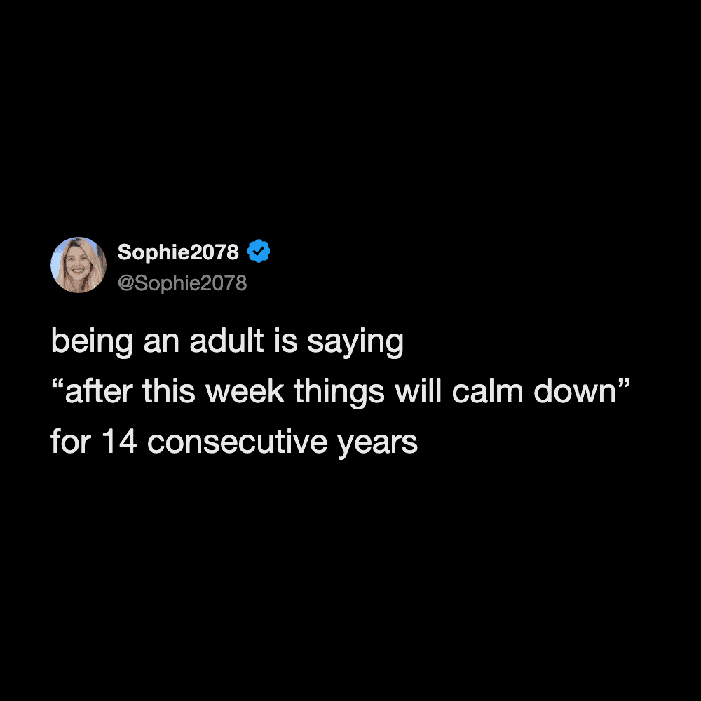 Hilarious tweet from Sophie2078 about adult life and staying calm, highlighting the humor in everyda.