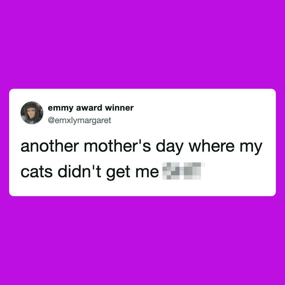 Funny cat meme about cats not bothering owner on Mother's Day.