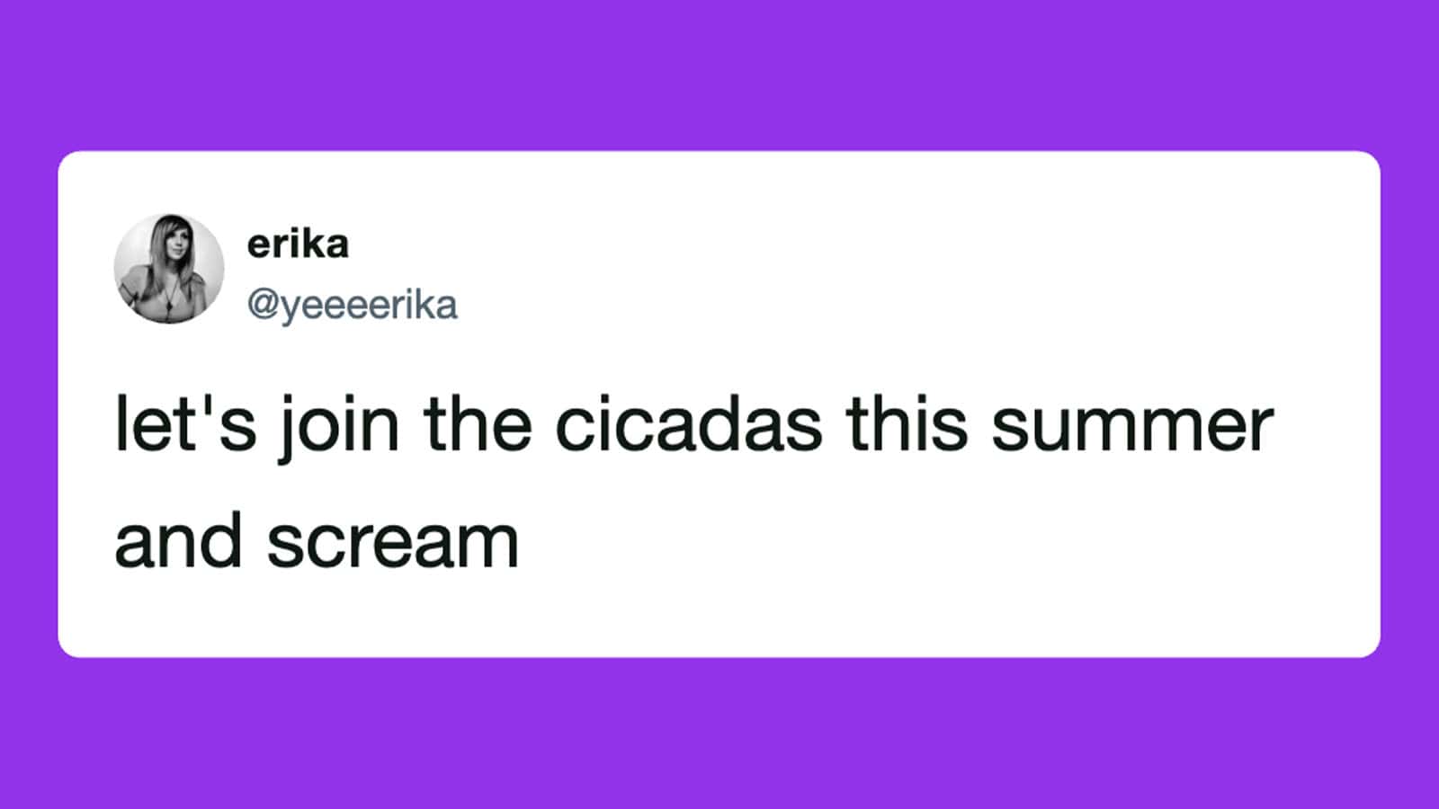 "Let's join the cicadas this summer and scream" tweet by erika with a profile picture of a woman.