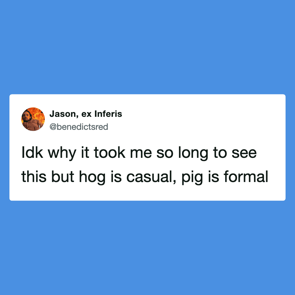Humorous tweet about casual hog and formal pig attire, related to funny tweets.