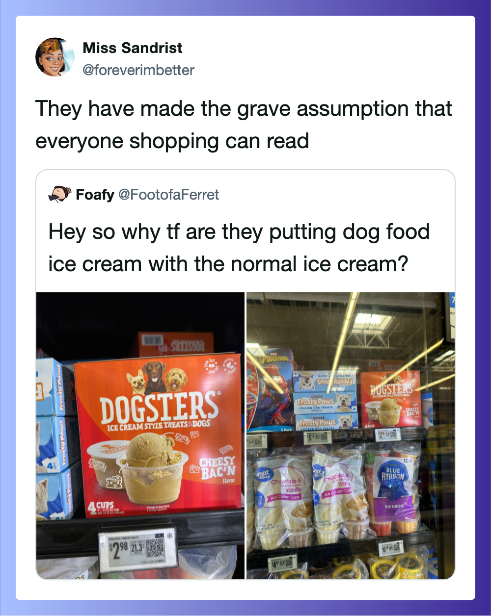 Dogsters ice cream for dogs on store shelf with other pet treats.