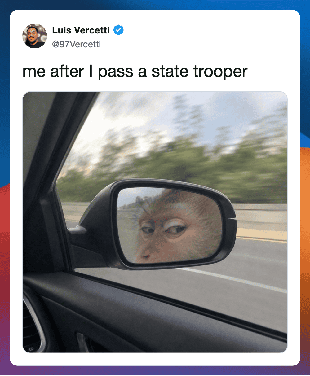 Monkey looking in car side mirror with a humorous expression.