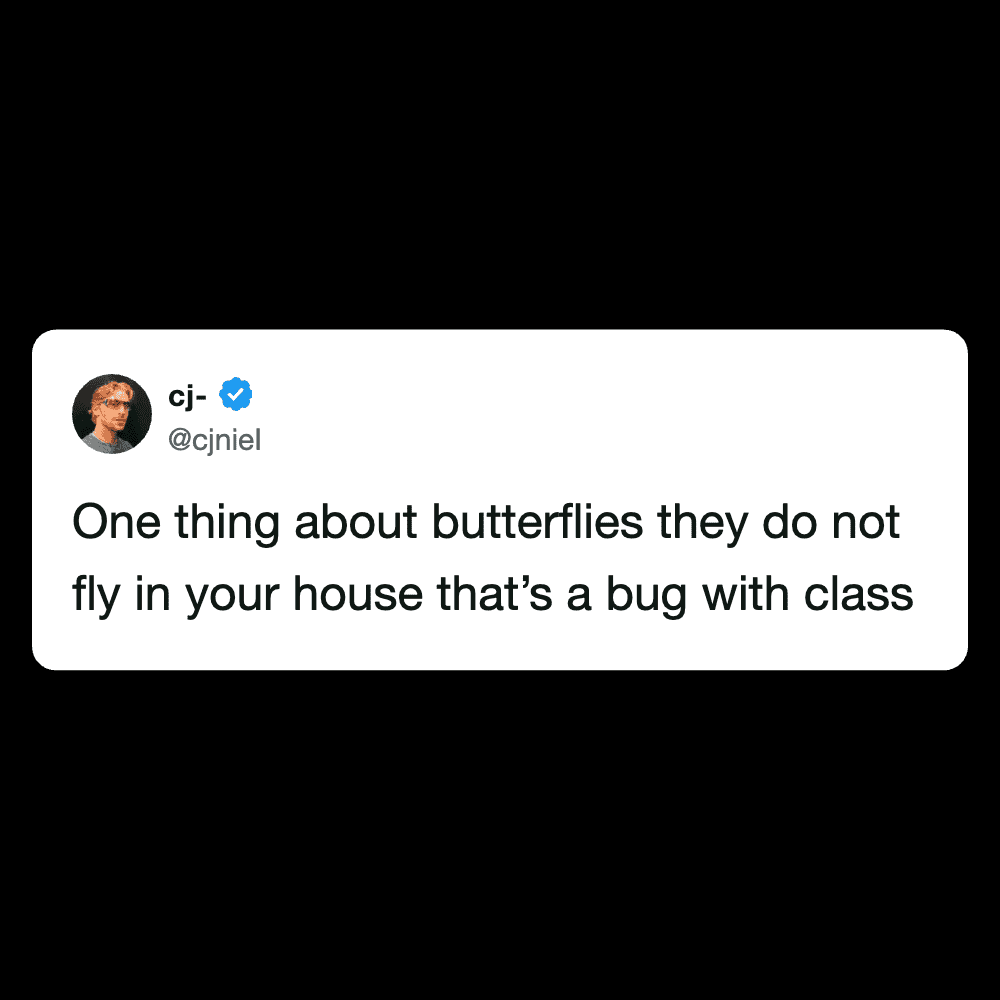 Humorous tweet about butterflies not flying in your house, comparing them to bugs with class.