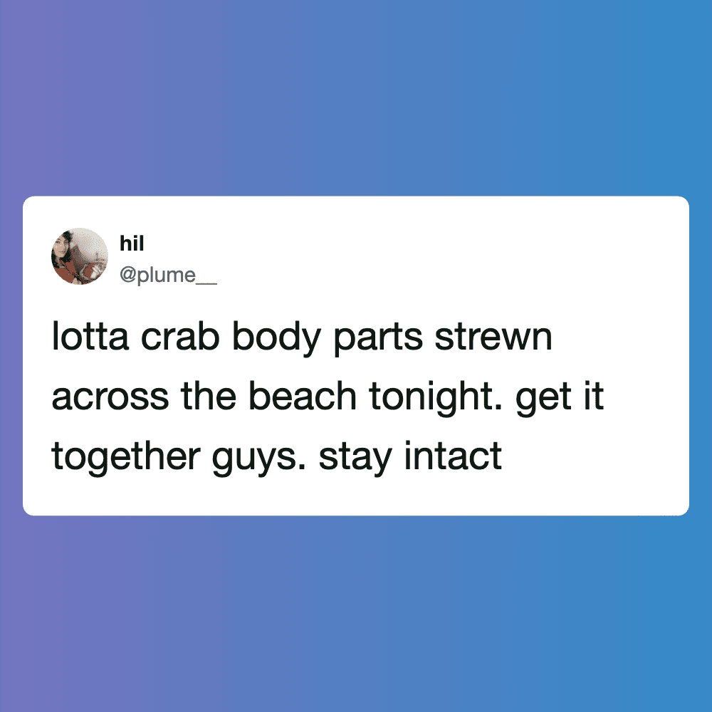 Screenshot of a tweet about crab body parts on Pleated Jeans website.
