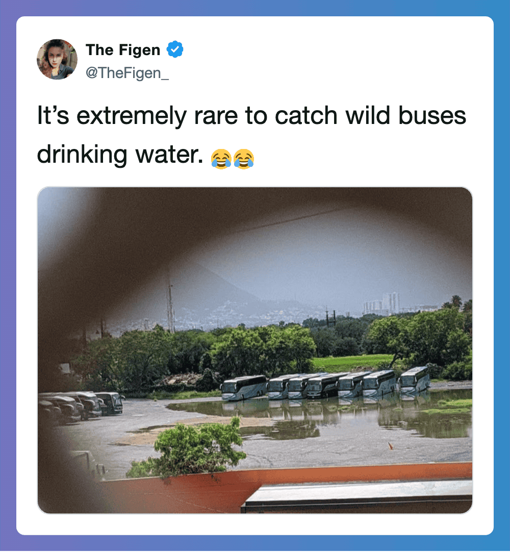 Buses parked in water, seen through a window, with a scenic background.