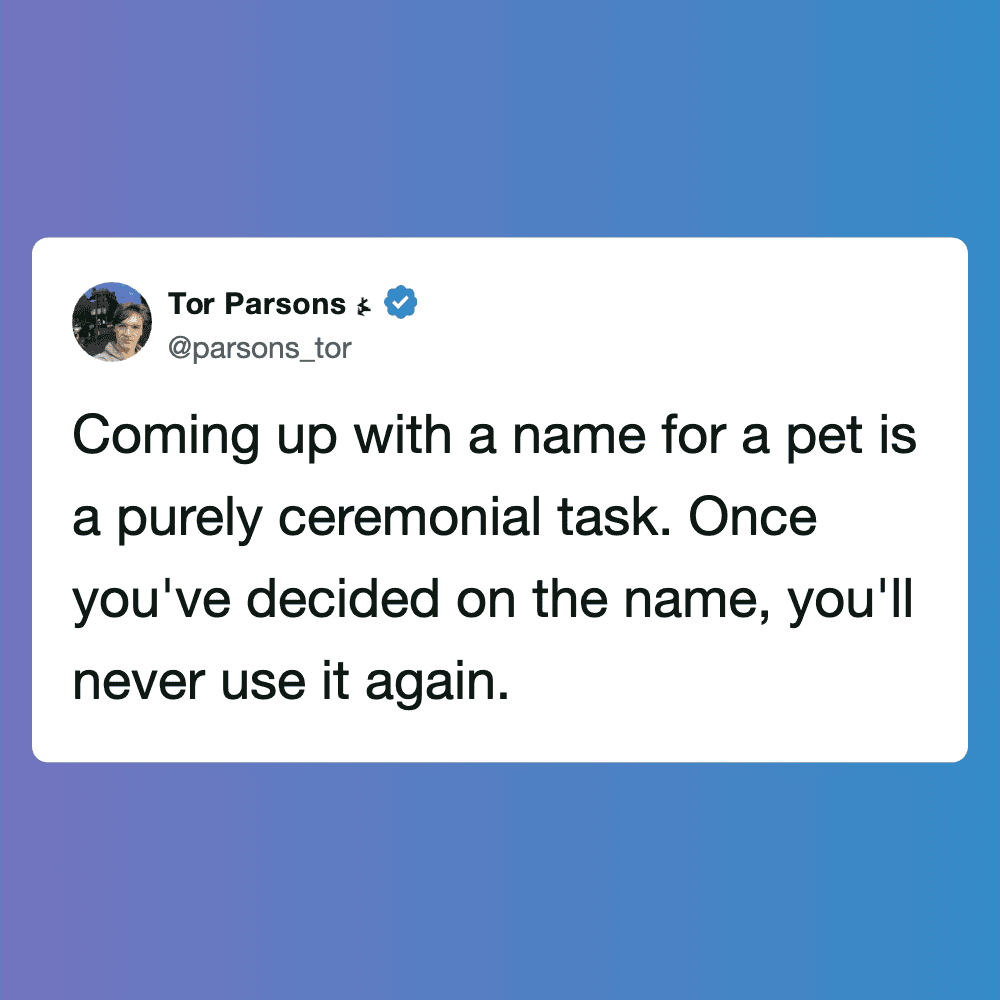 Humorous quote about the difficulty of choosing pet names.
