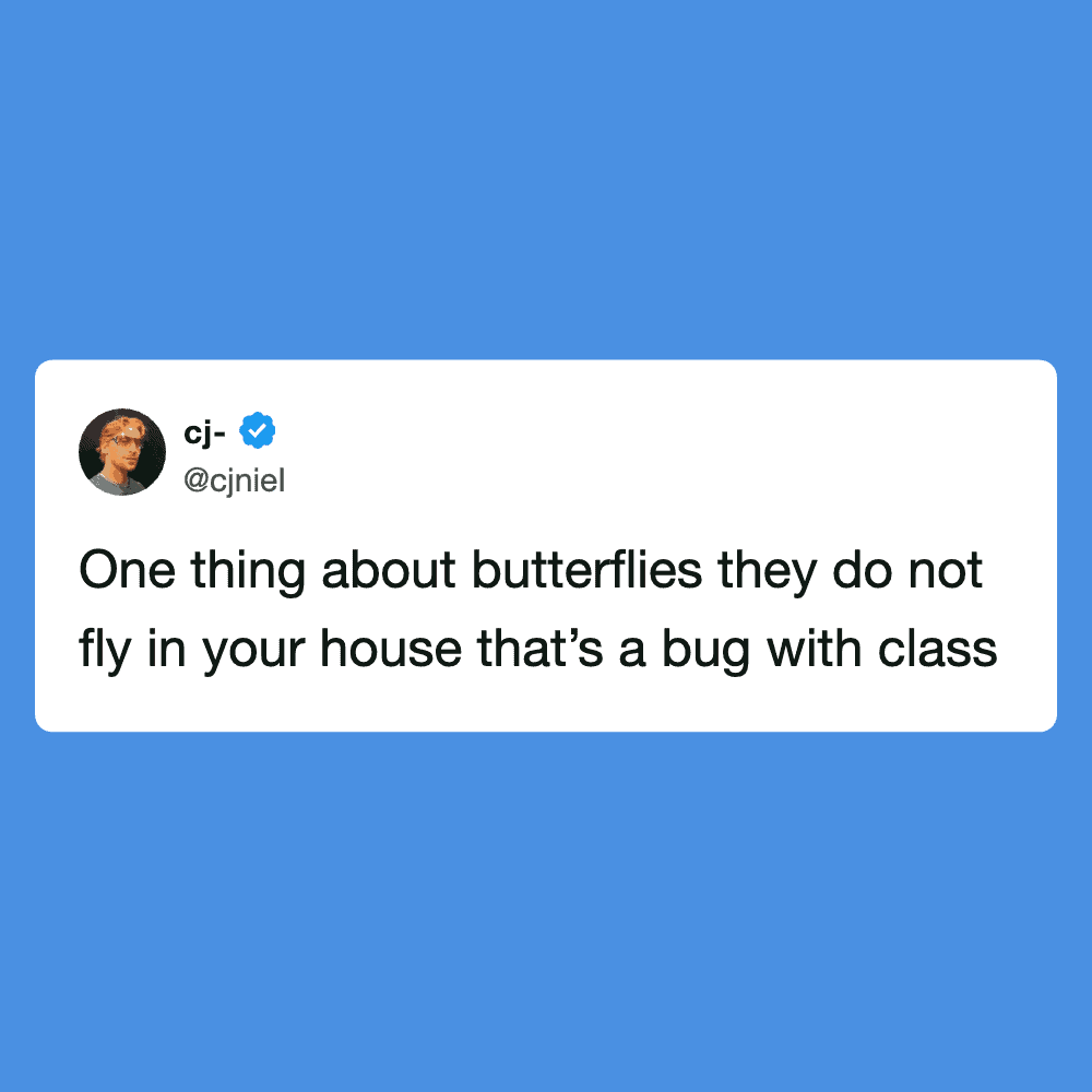 Funny quote about butterflies and bugs on a blue background.