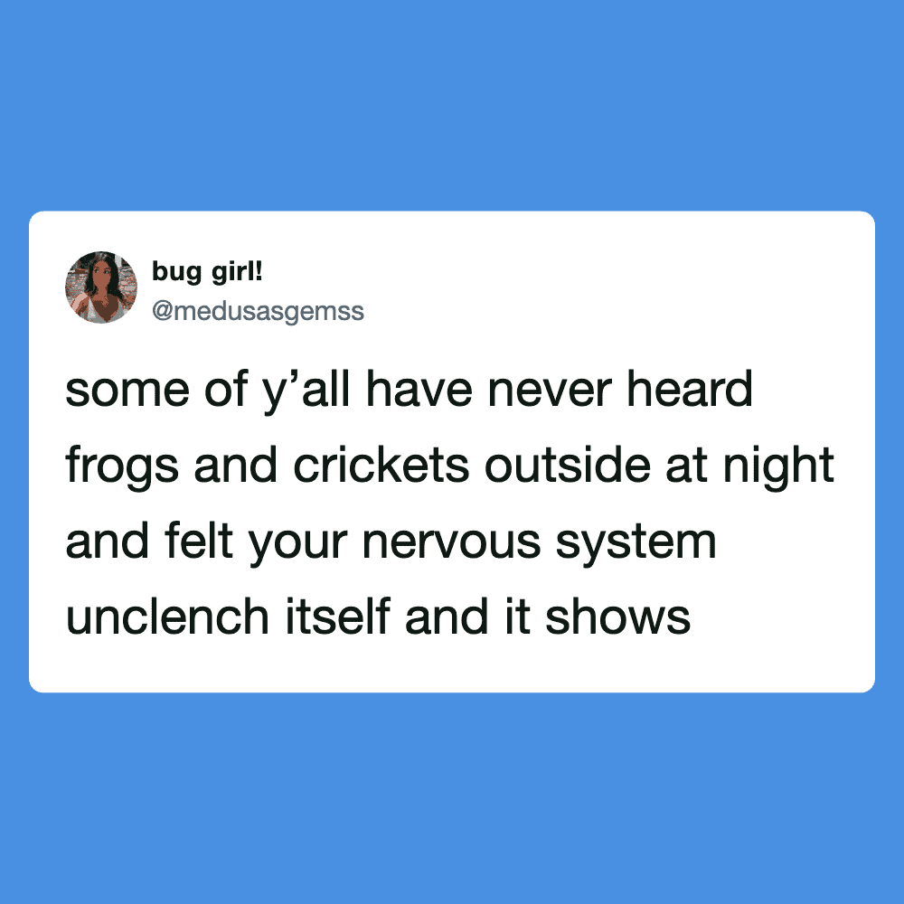 Night scene with frogs and crickets, outdoor nature sounds.