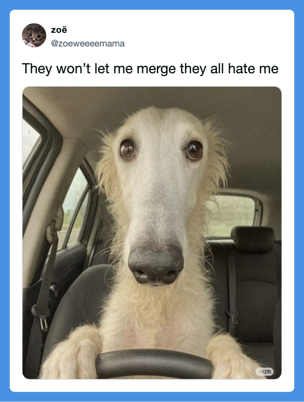Dog with wide eyes sitting in a car, humorous caption about being misunderstood.