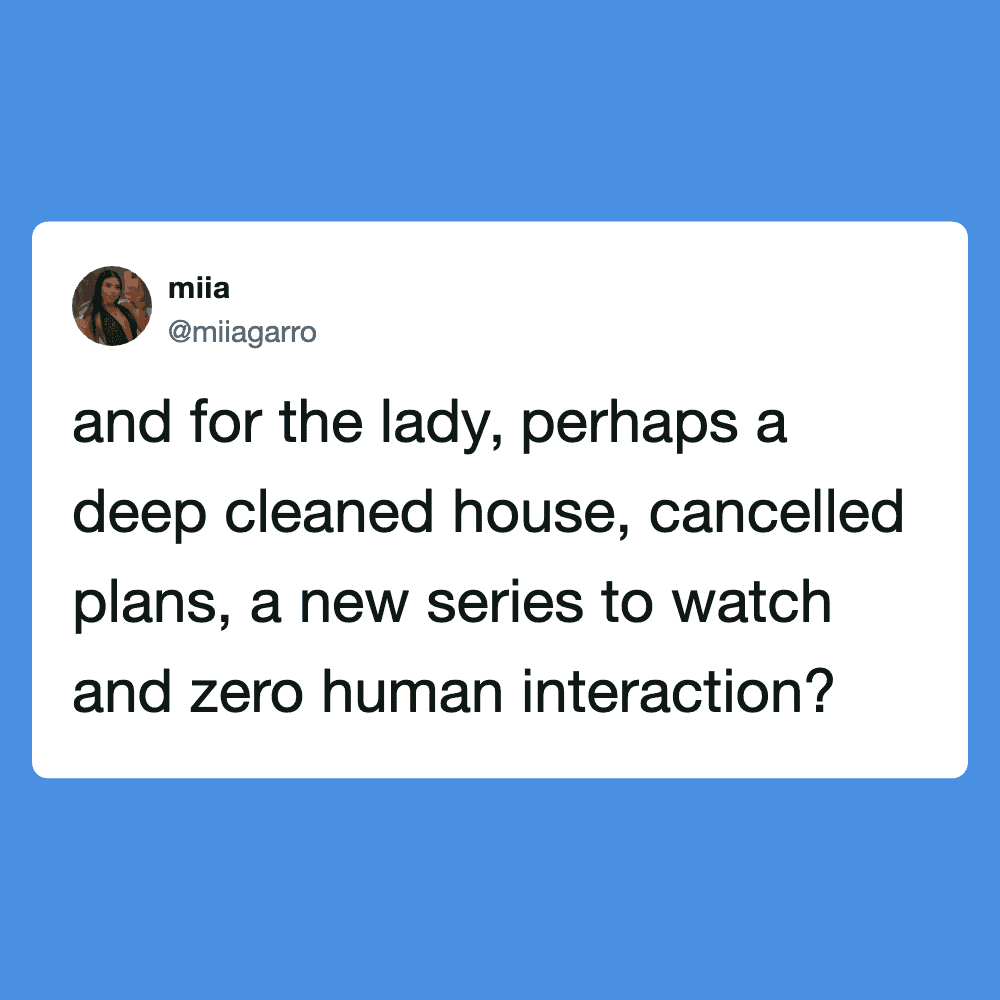 Funny meme about a woman cleaning house, canceled plans, and zero human interaction.
