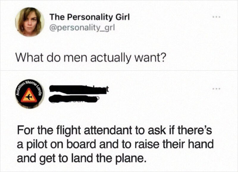 Aviation humor meme about flight attendants and pilots.